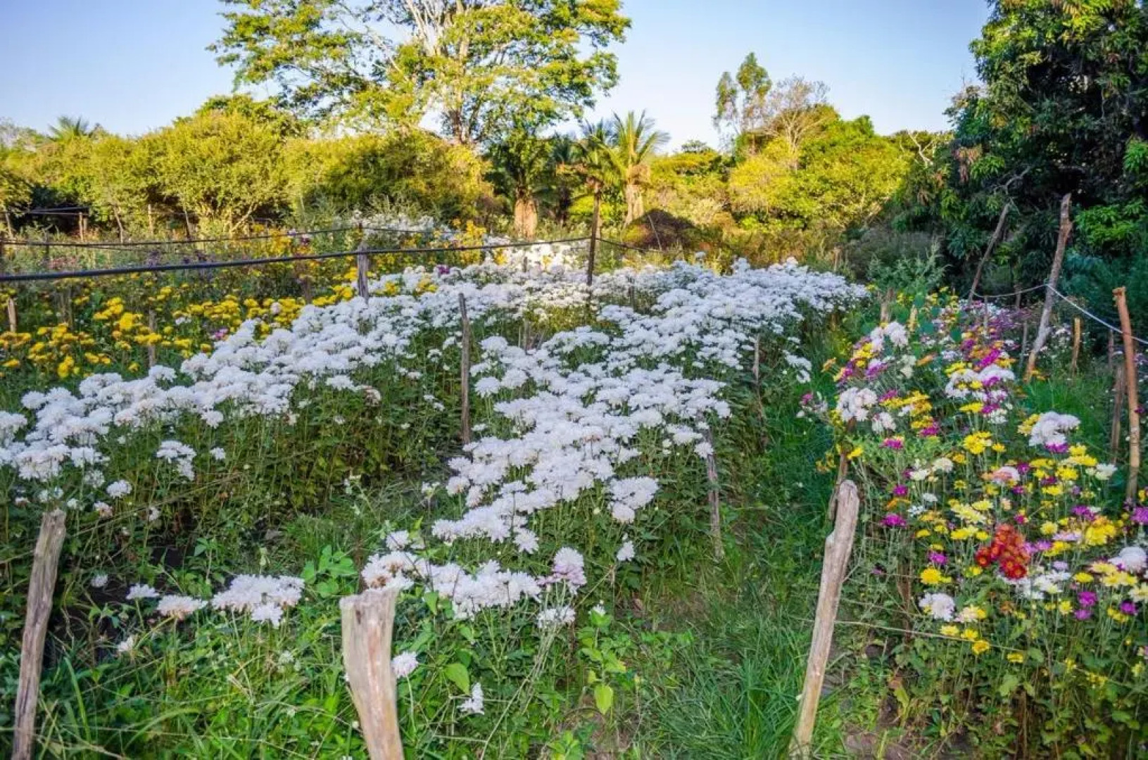 Hotel Chale Nosso Sitio Guaramiranga