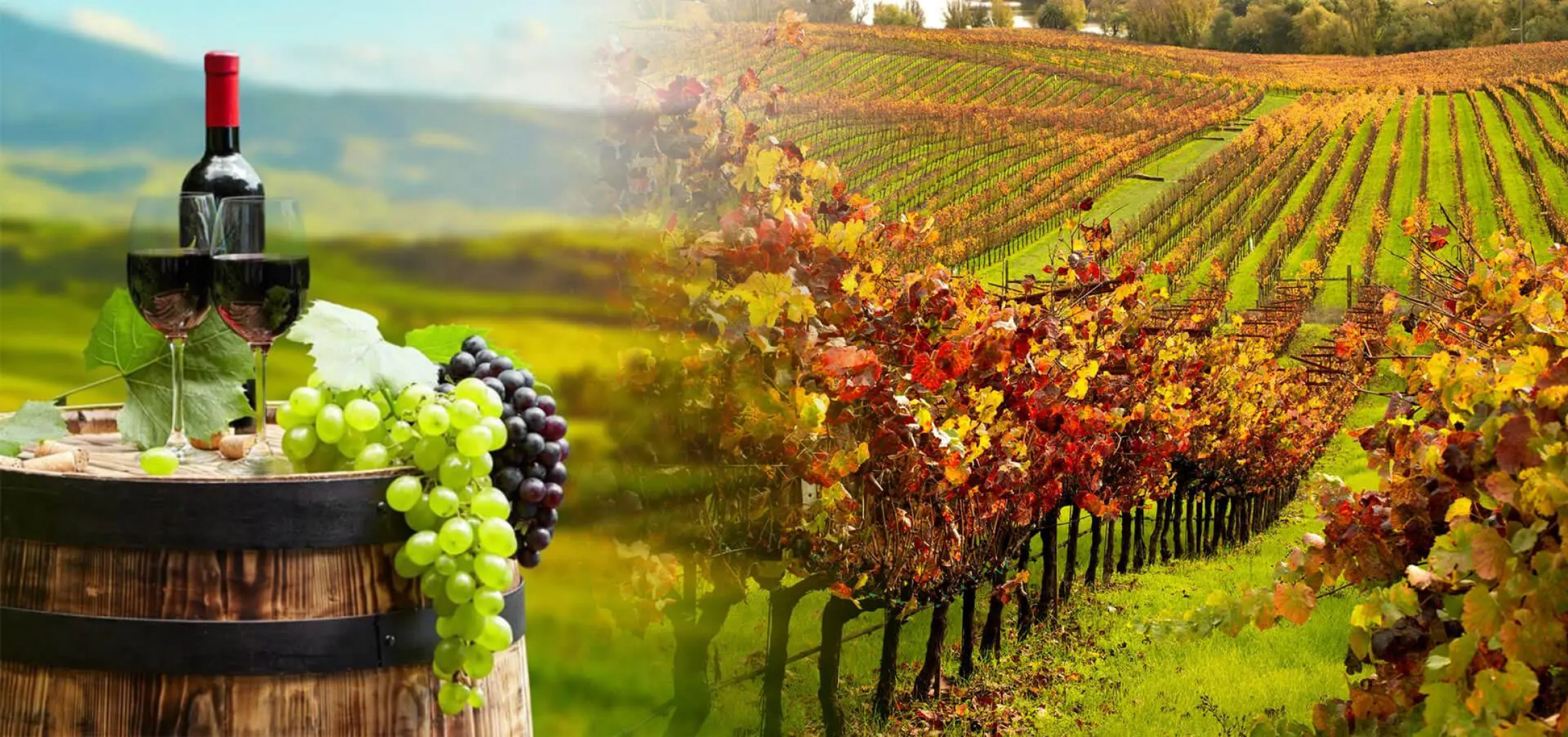 Depot Inn and Suites