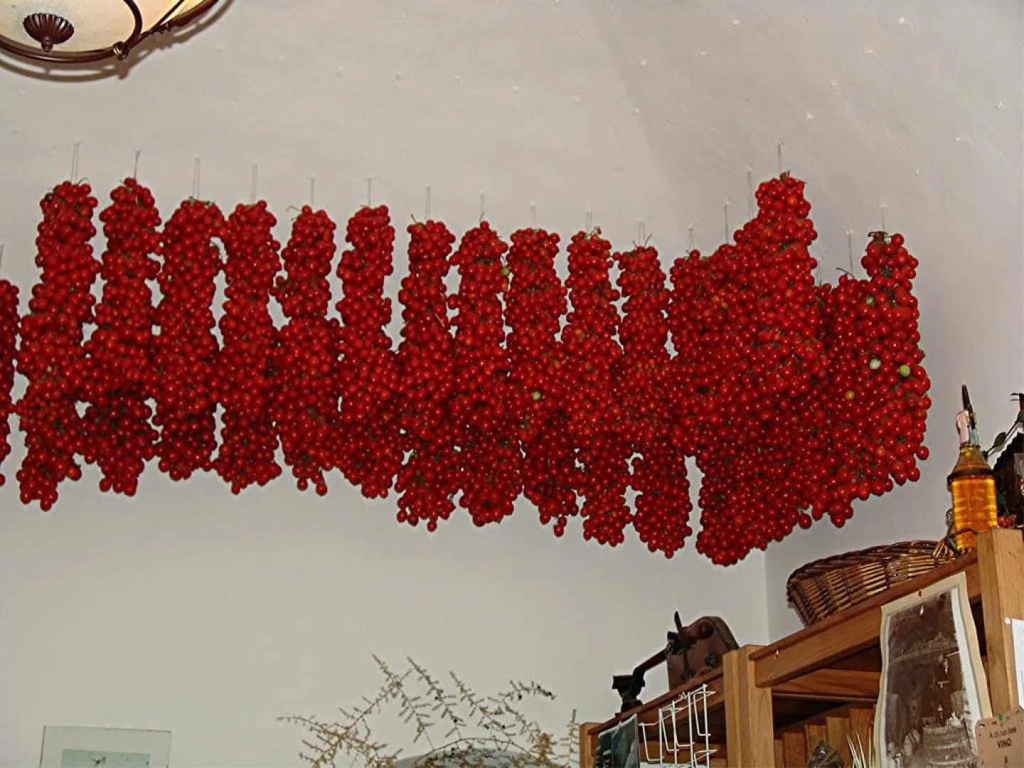 Agriturismo Serafina