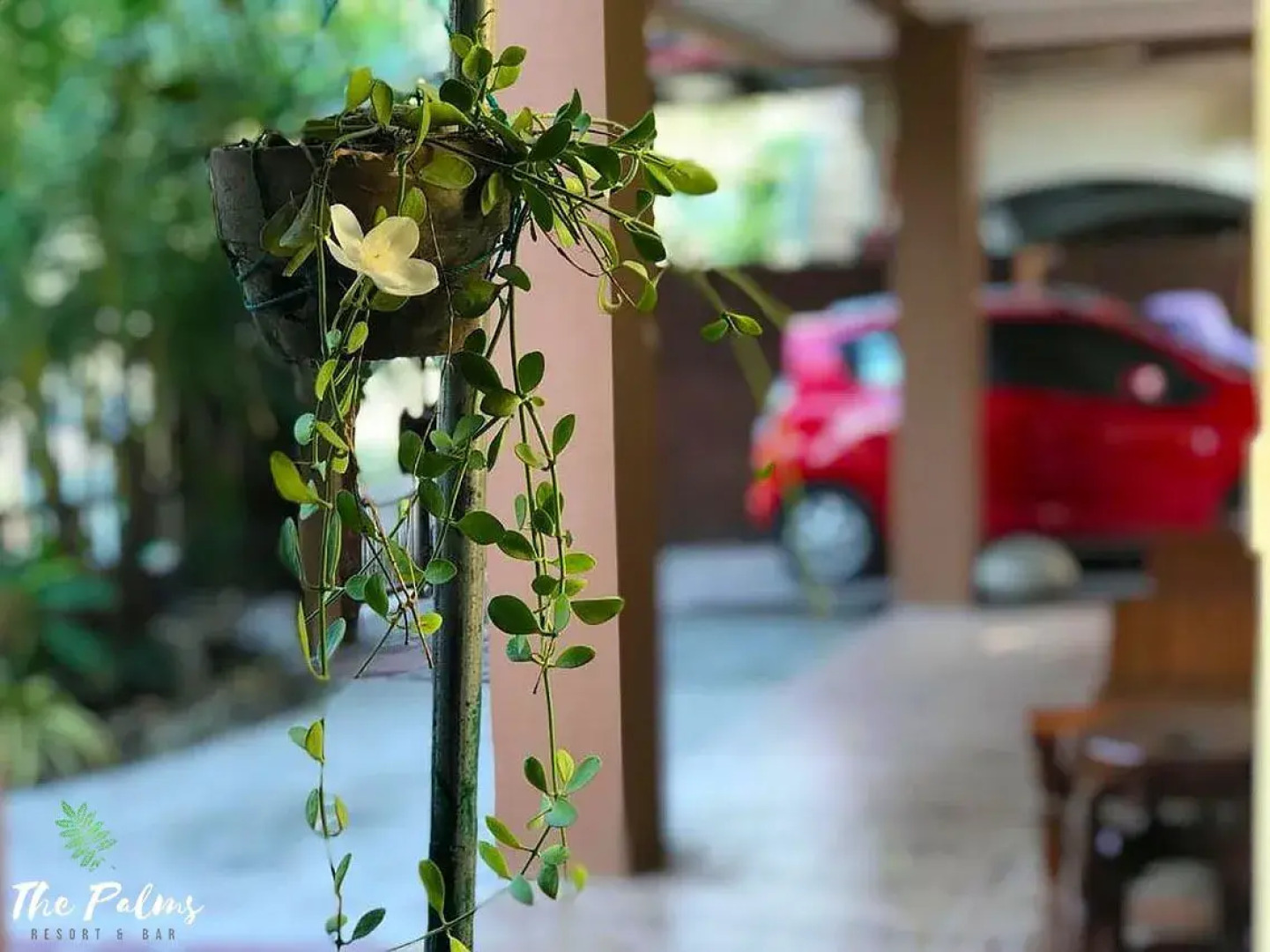 The Palms Resort & Bar