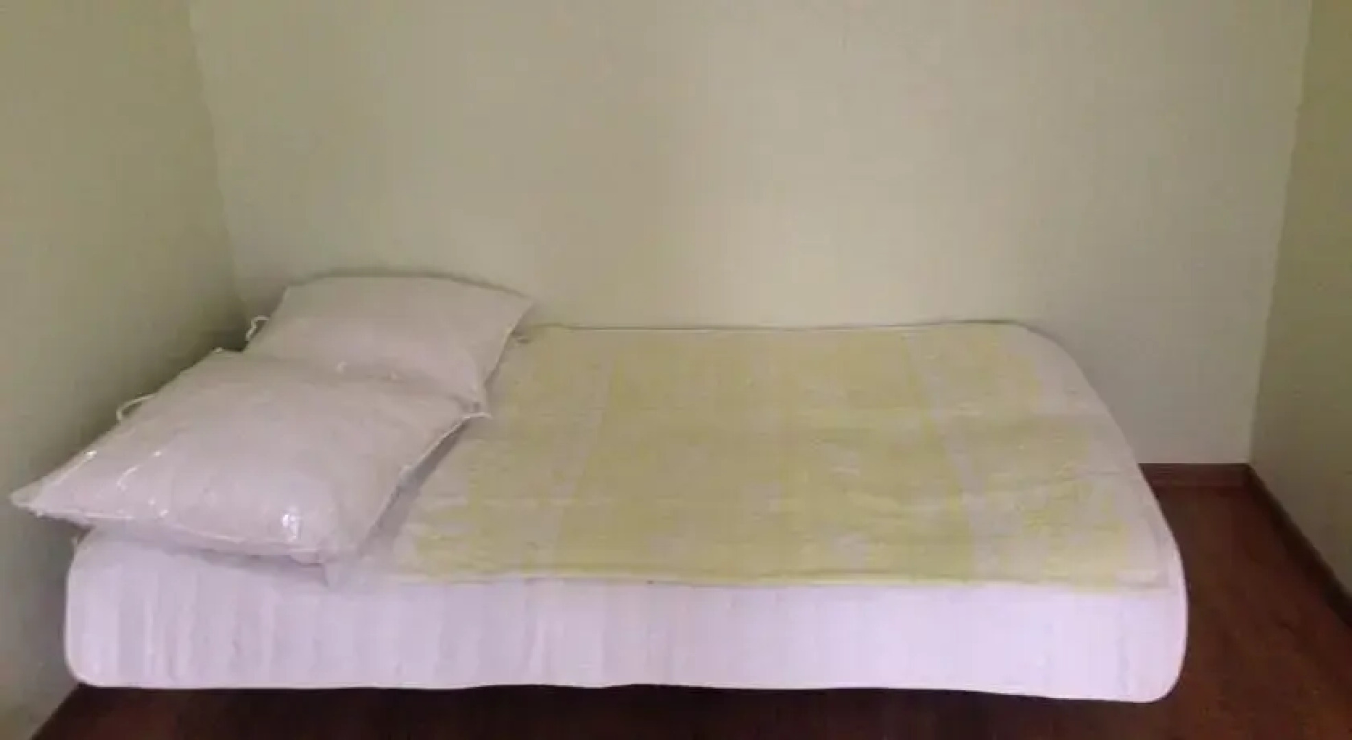 Apartment on Dzintaru Street 7