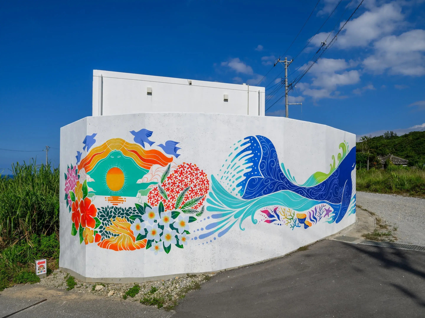abundance okinawa