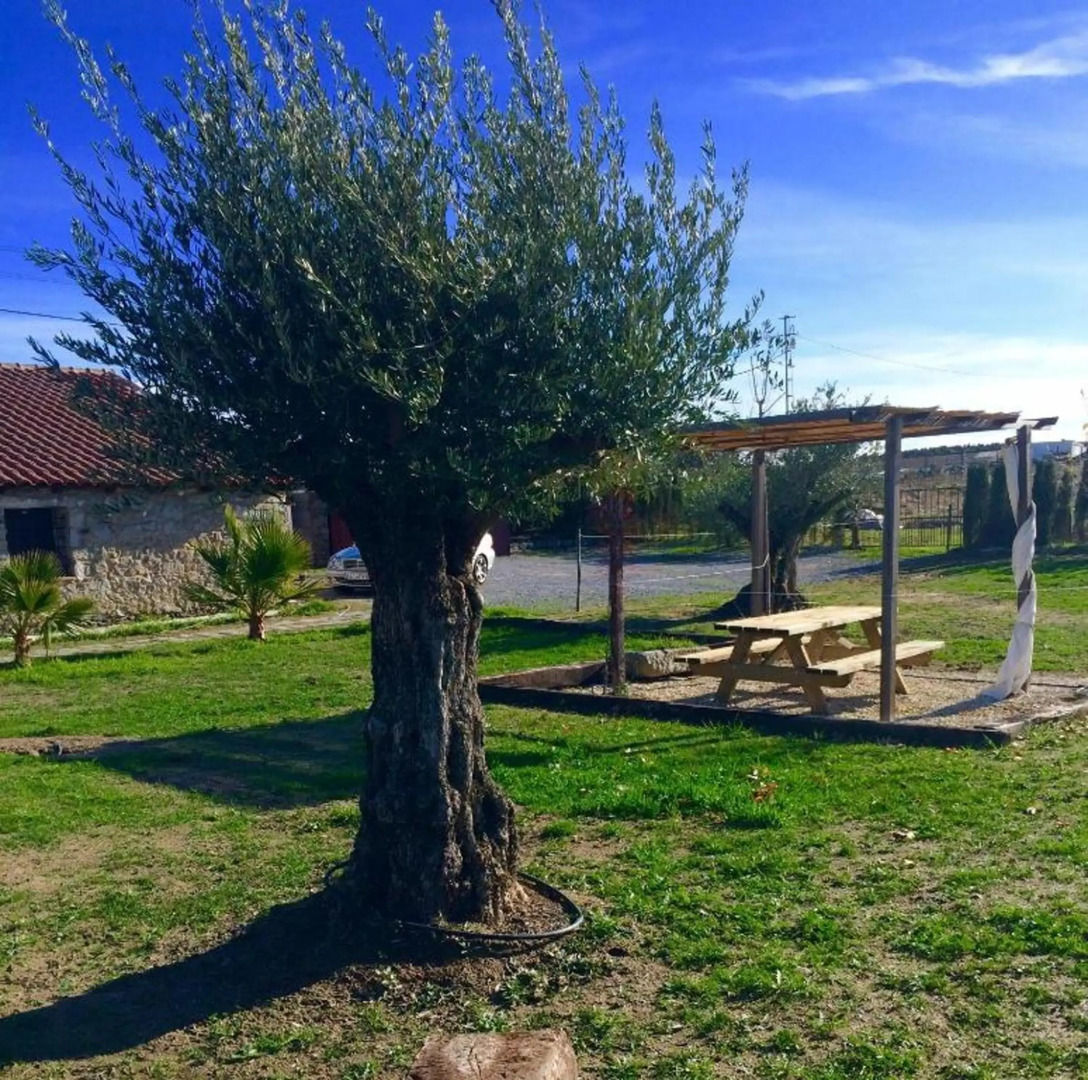 3 bedrooms house with shared pool enclosed garden and wifi at Alcaracejos