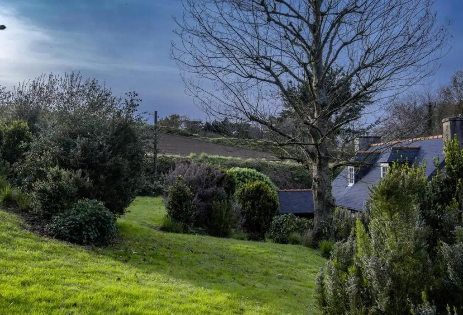 Résidence Ty Gouermel-plougrescant - Maisons & Villas pour 5 Personnes 854