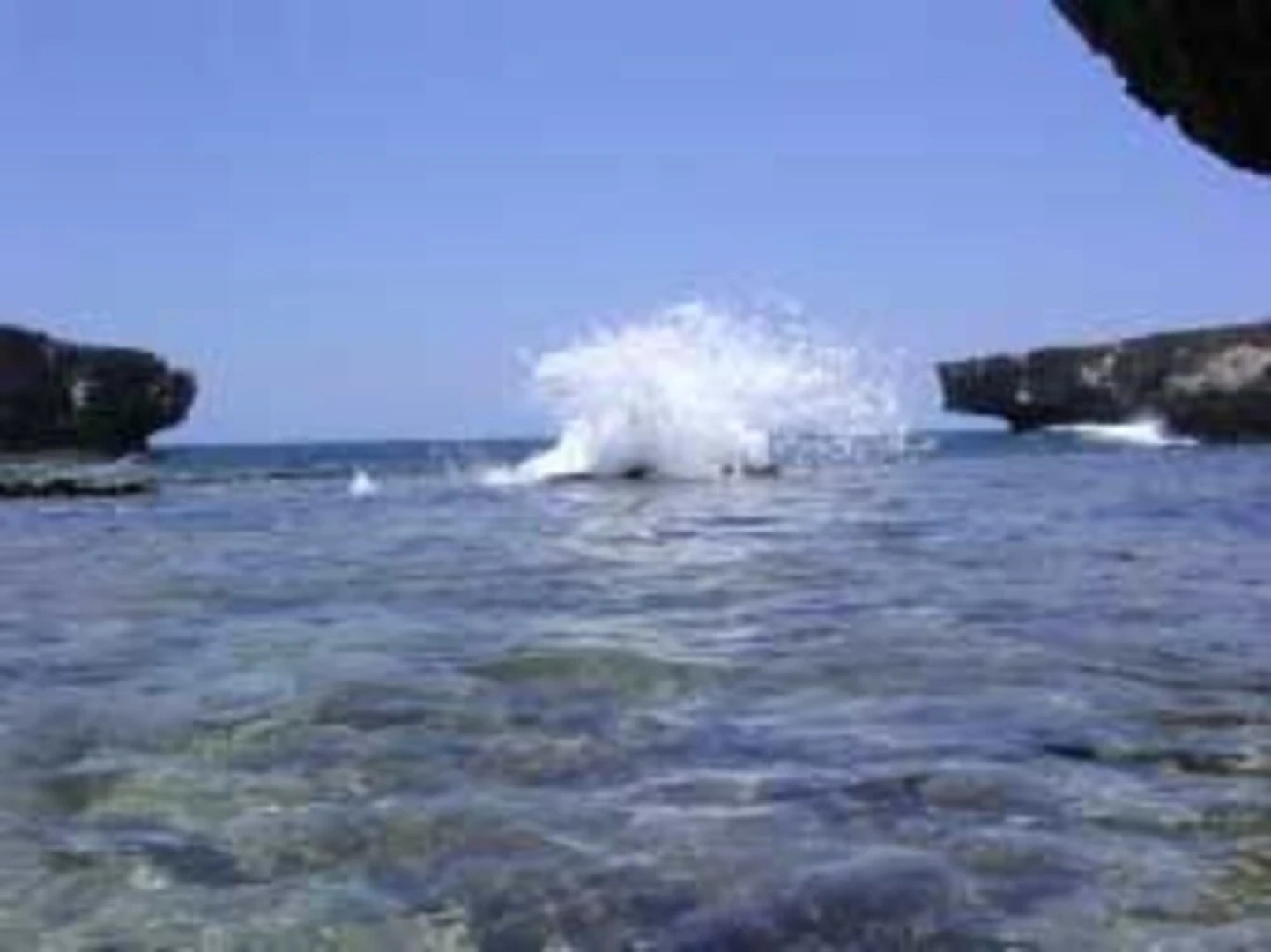 Bonaire Fun Apartments