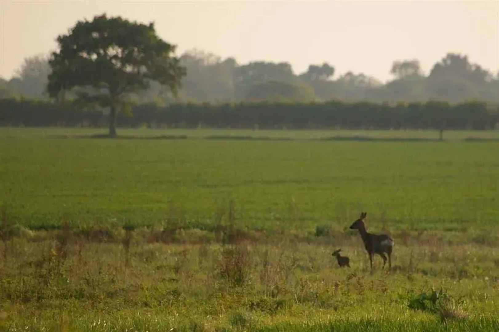 The Emsworth B&B Hotel