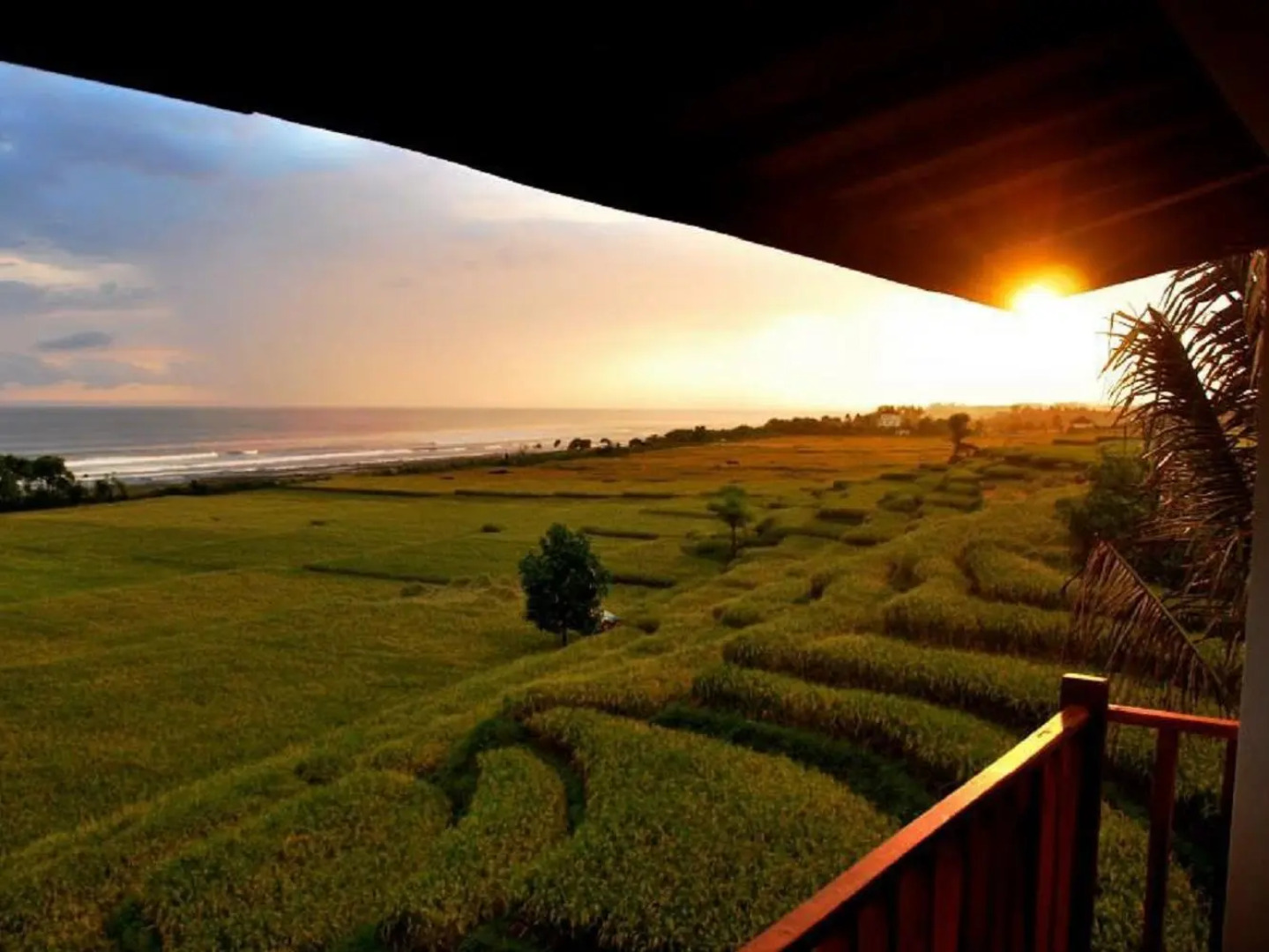 Dikaloha Surfcamp Bali