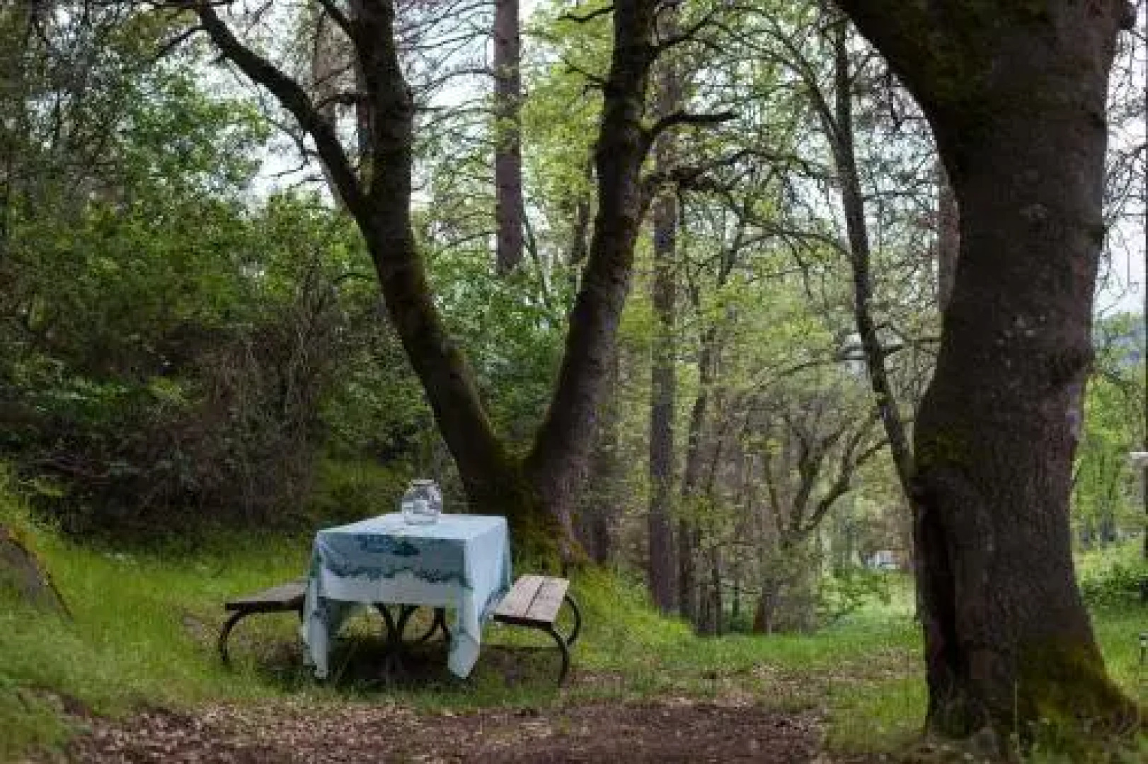 Ravensbrook Bed & Breakfast