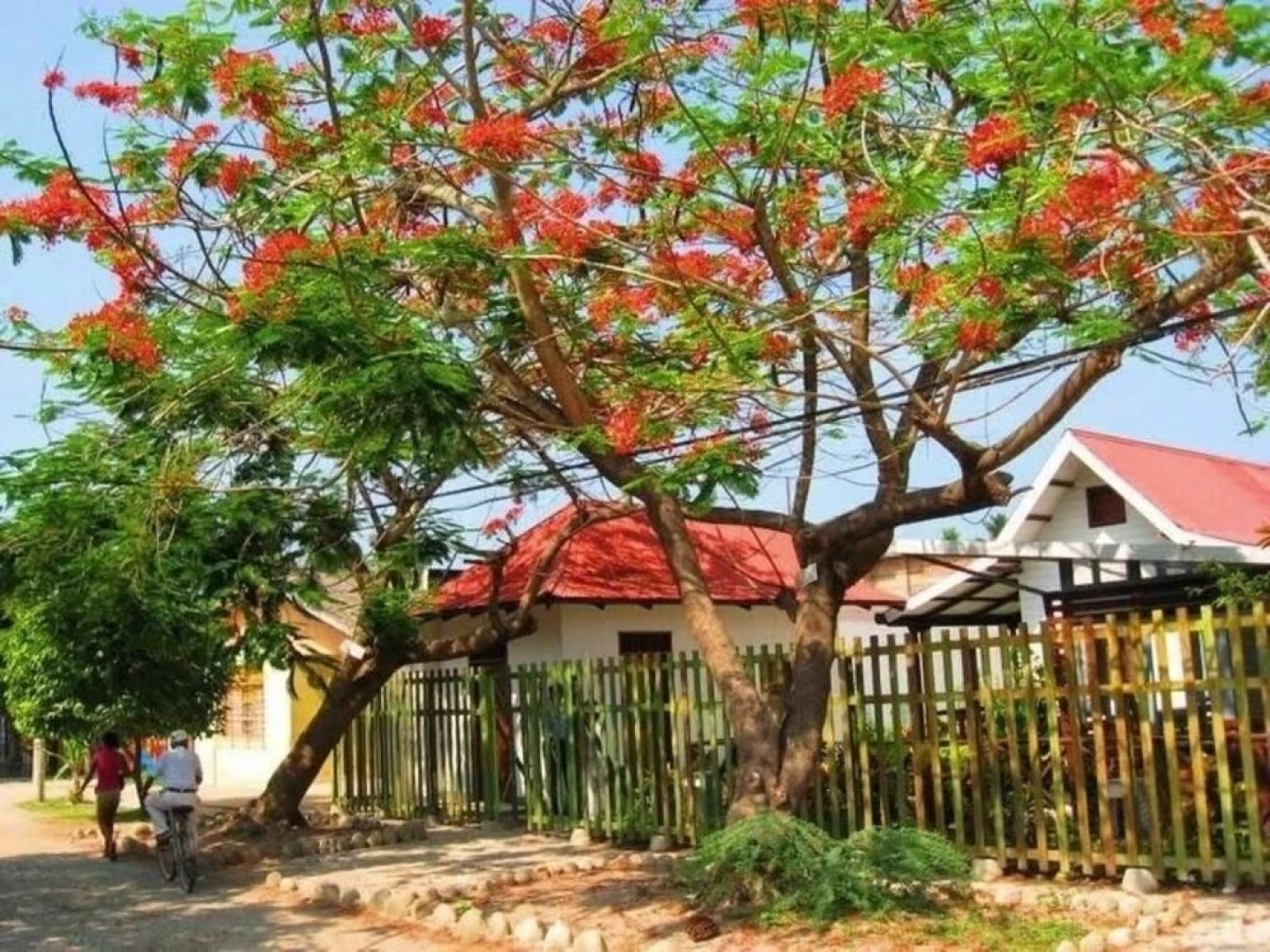 Casa Turística Realismo Mágico