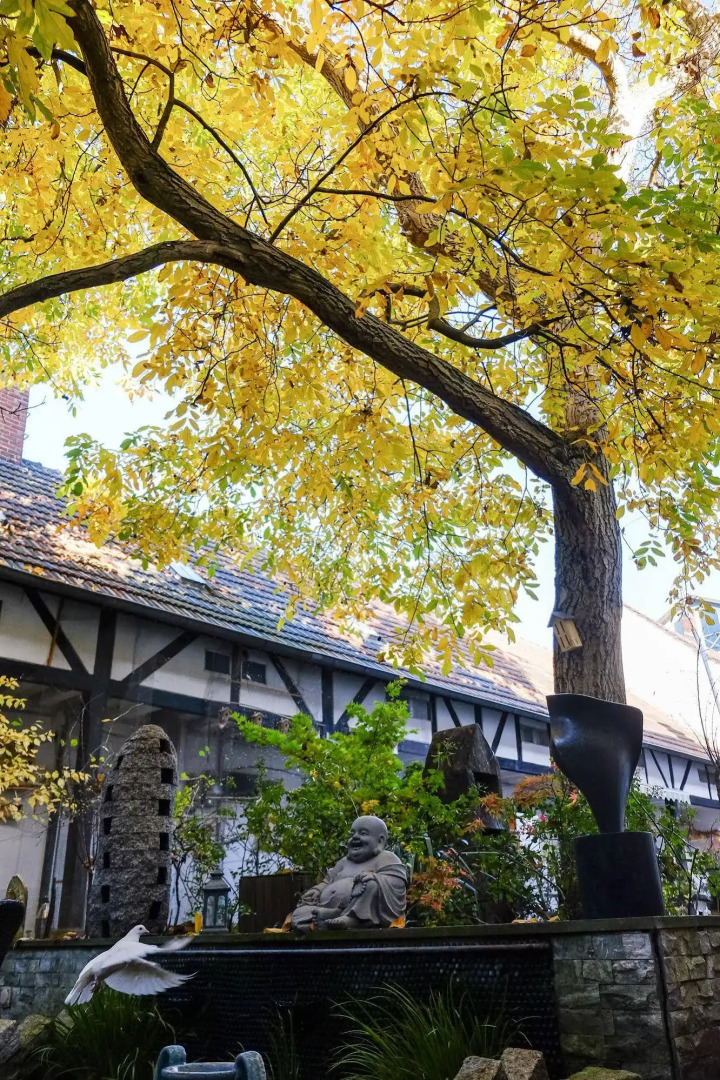 RheinRiver Guesthouse - Direkt am Rhein