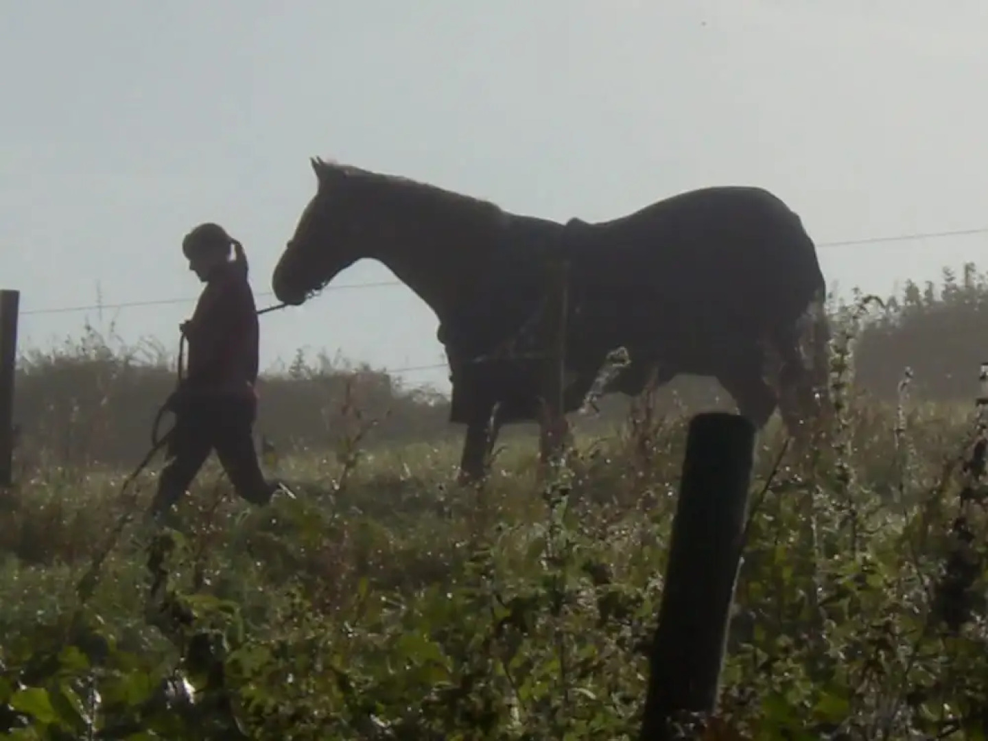 Polean Farm Cottages