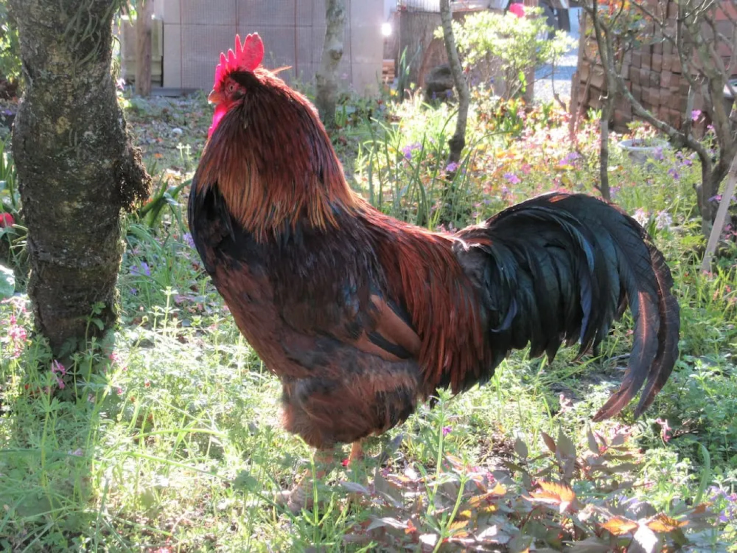 Nouka Minpaku Seiryuan