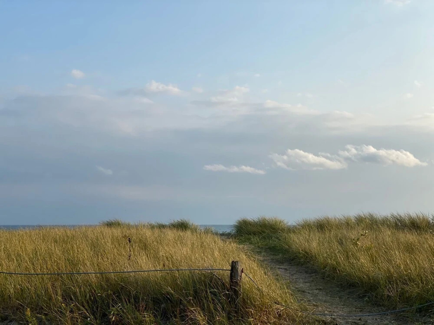 Brand New Walk Out Bsmt Apt Near Beach