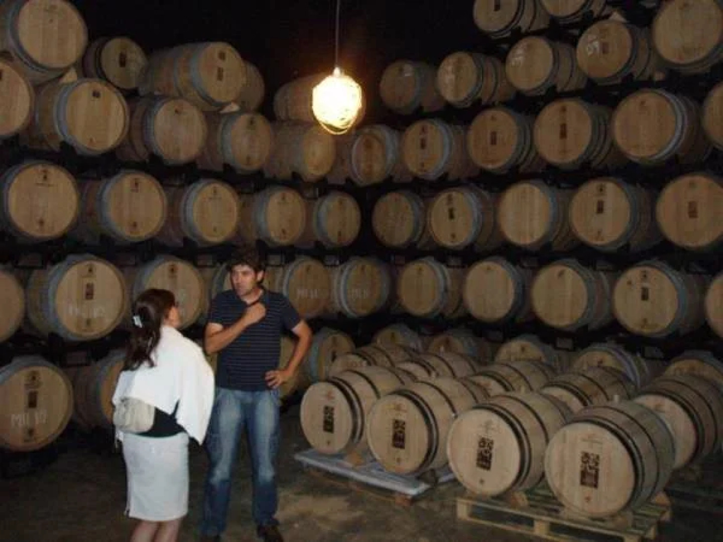 Hotel La Posada de Villalangua