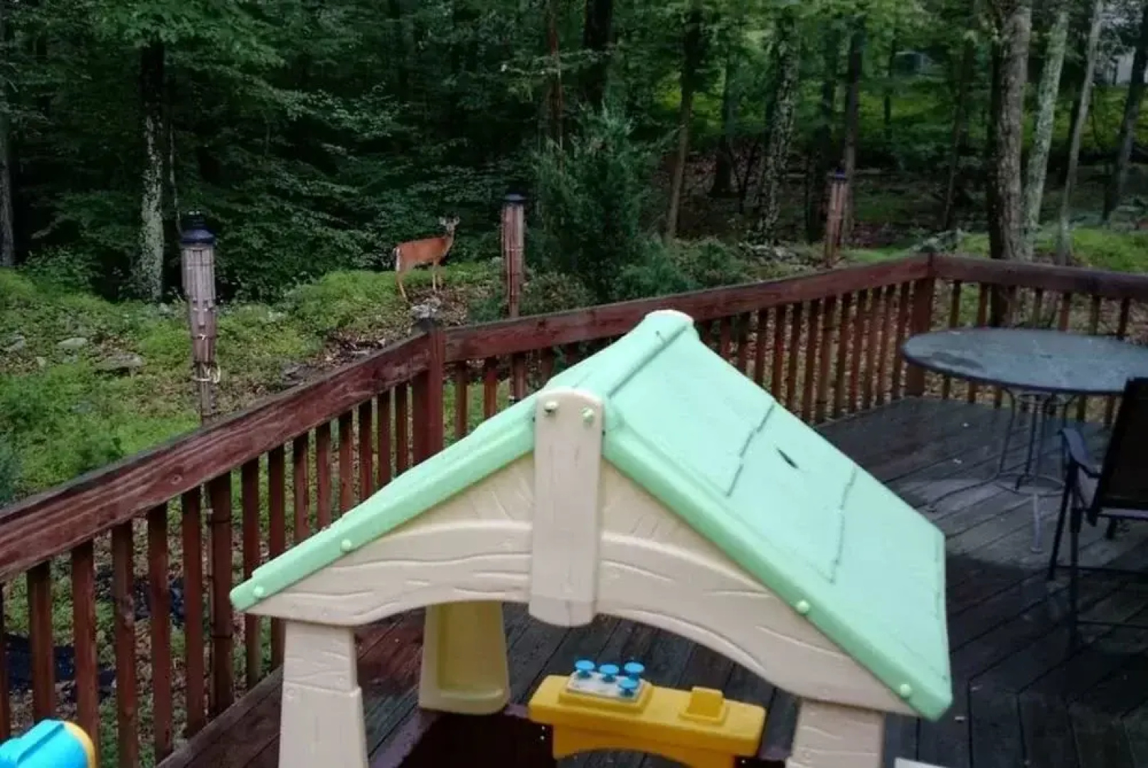 The Spice of the Poconosemai