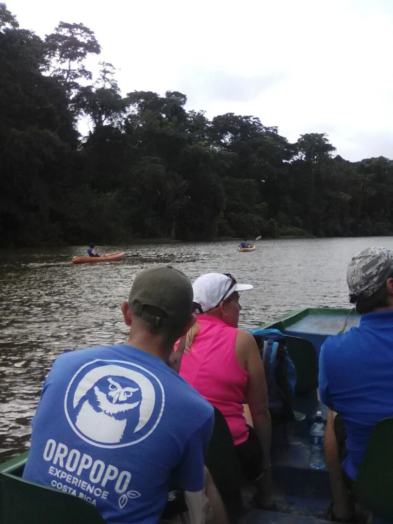 Hotel Cabinas y Tour Aaron Tortuguero
