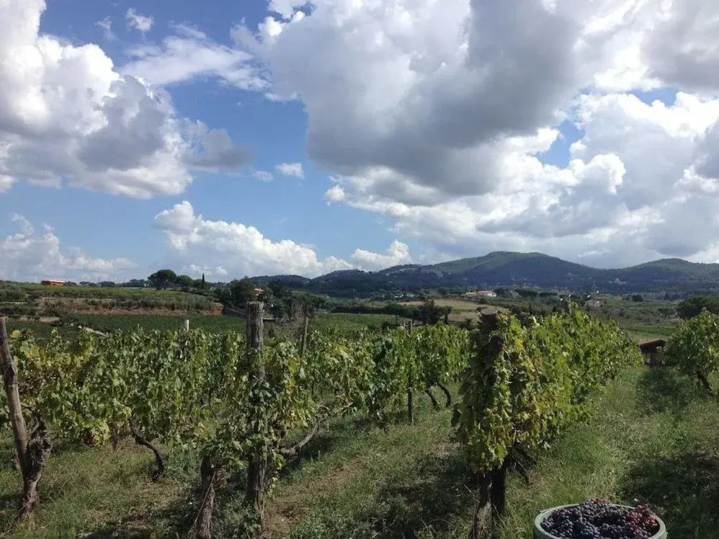 Country House Erba Regina