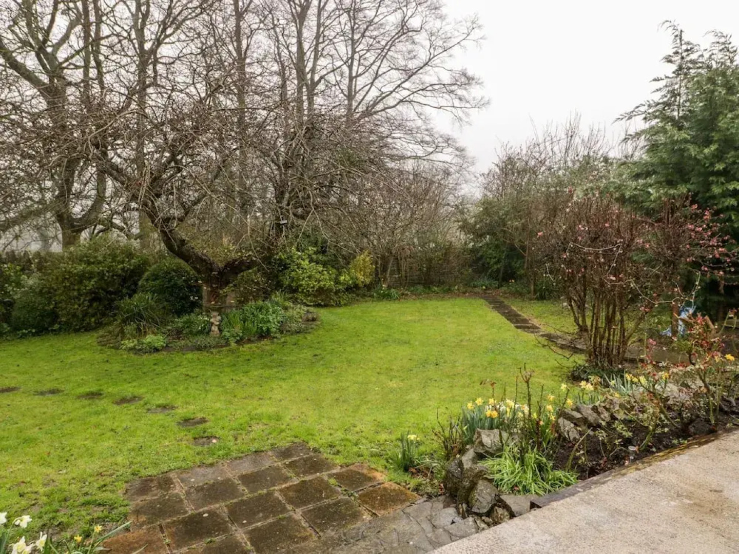 Tree of Life House, Number 27 Bere Lane