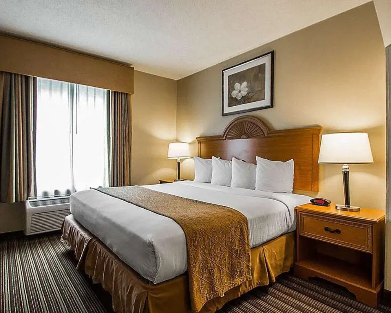 Quality Inn & Suites