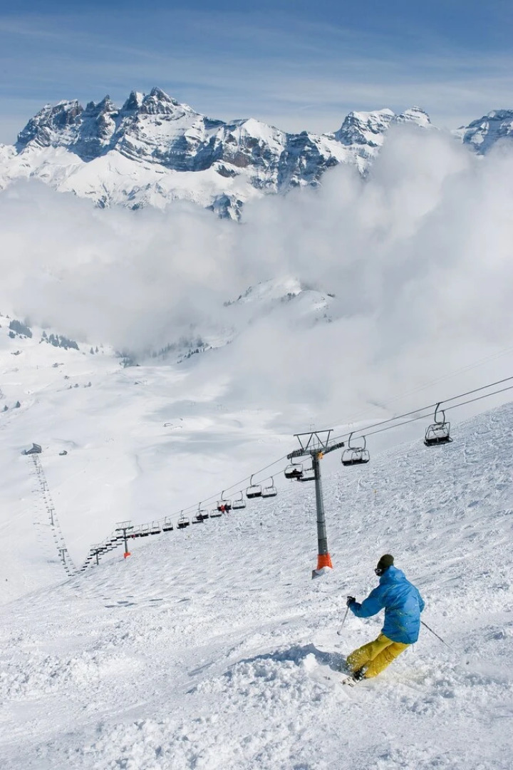 Mirois - Montagne 26 Ski-in Apartment on the Slopes in Les Crosets