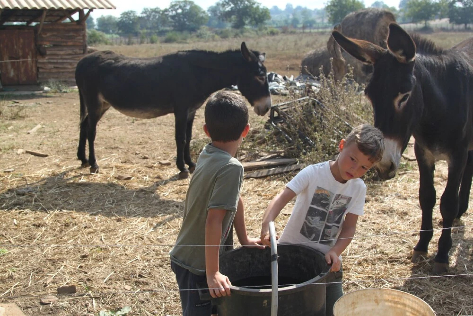 Don Carlo Agriturismo di Charme Bio