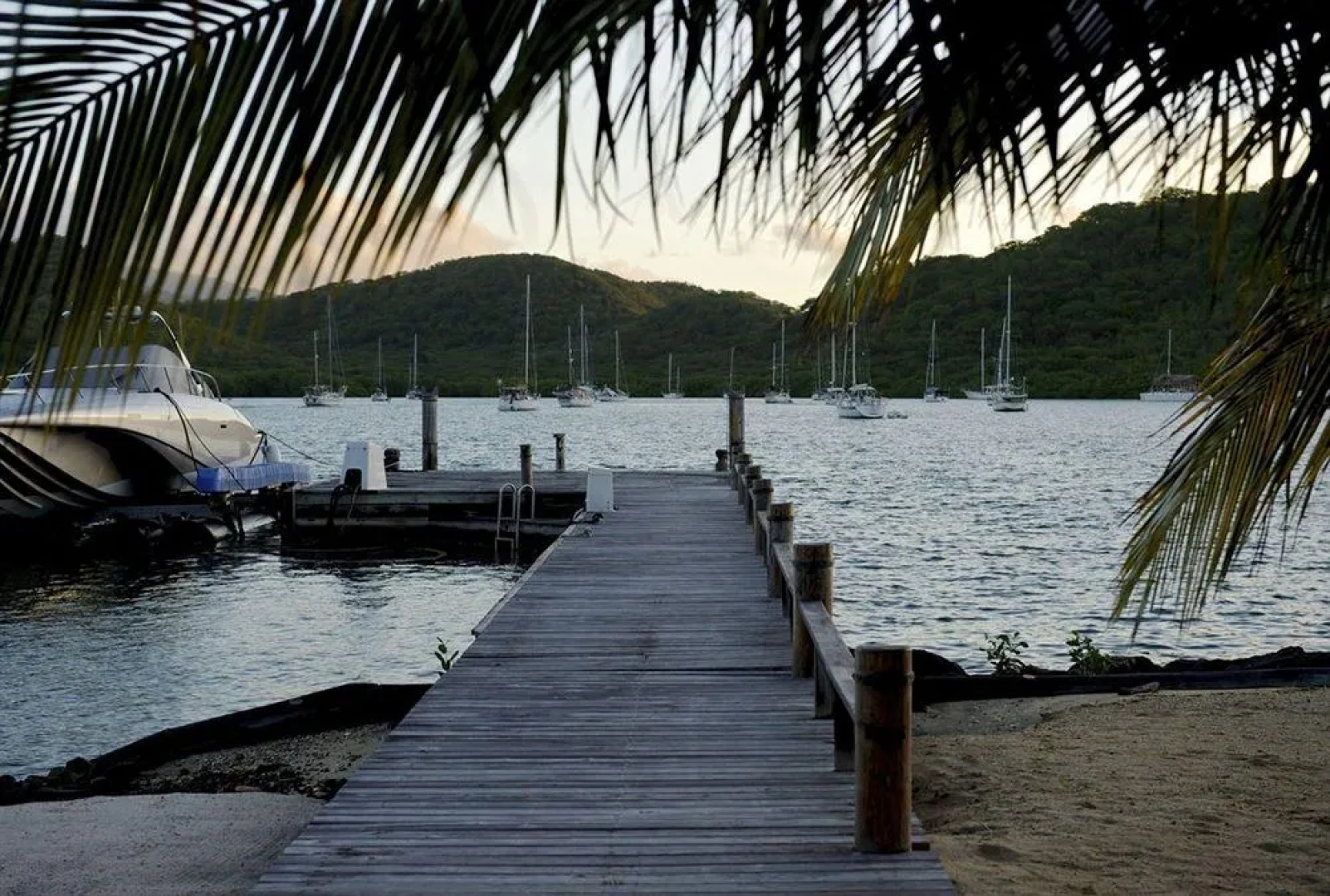 Mount Hartman Bay Estate