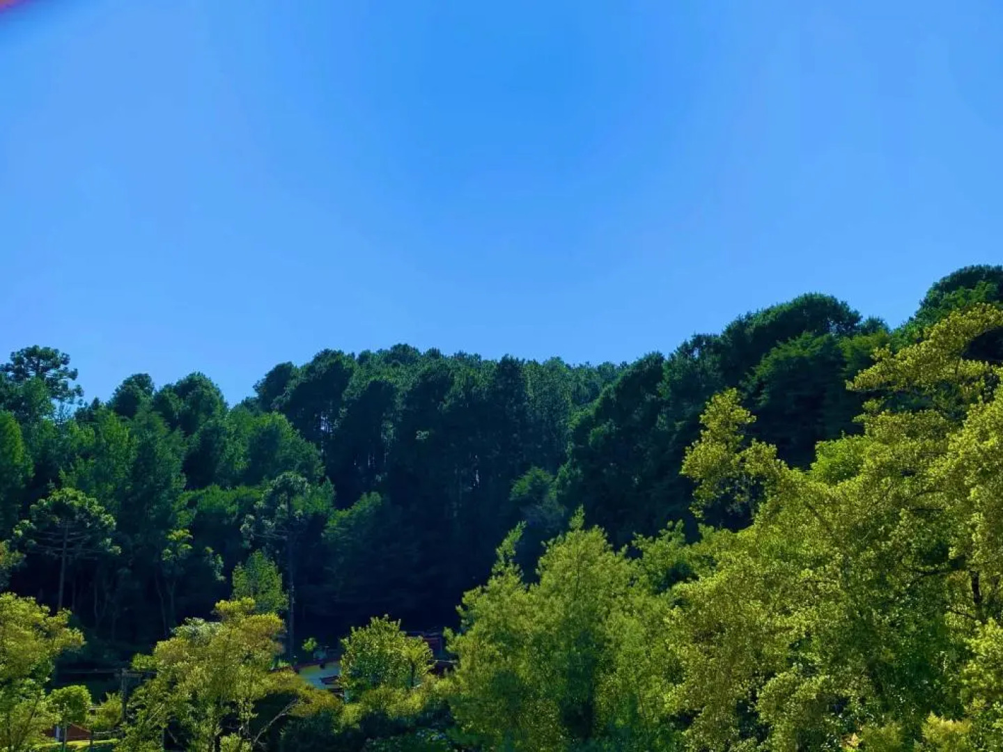 Castelo Piazzale - Campos do Jordão