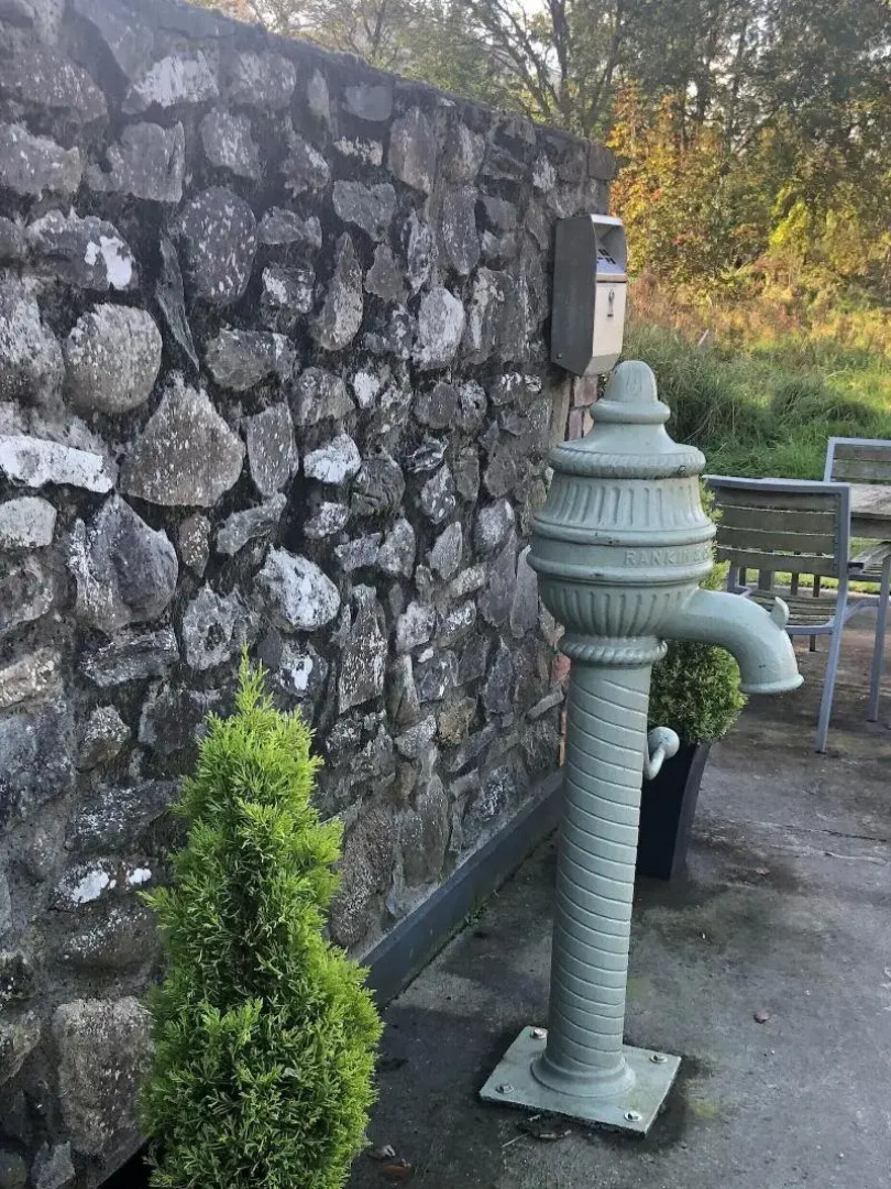 Flynns of Termonfeckin