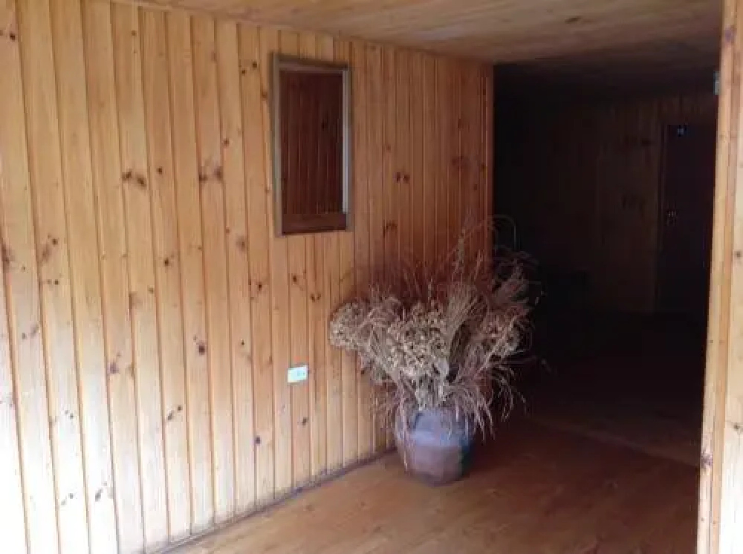 El Bosque de Lipimavida