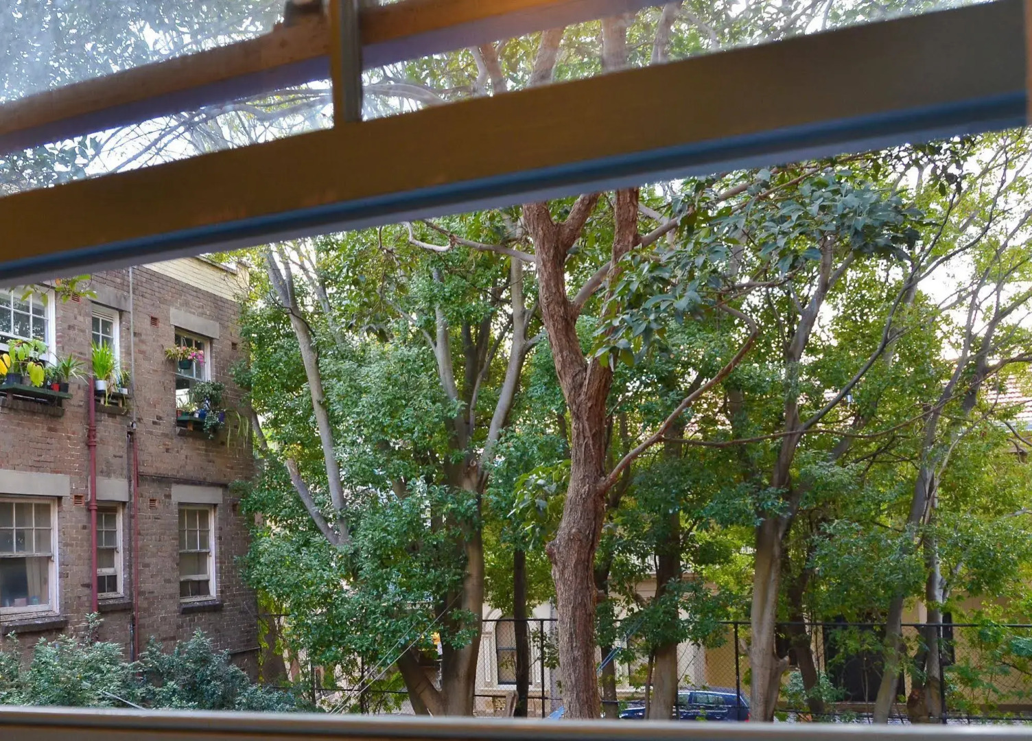 Blue Parrot Youth Hostel