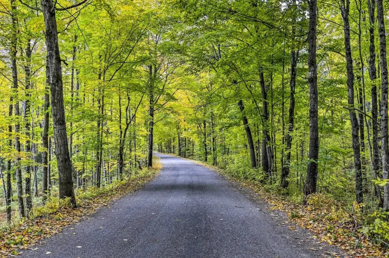 Secluded Lakehouse w/ Private Dock + Serene Views!