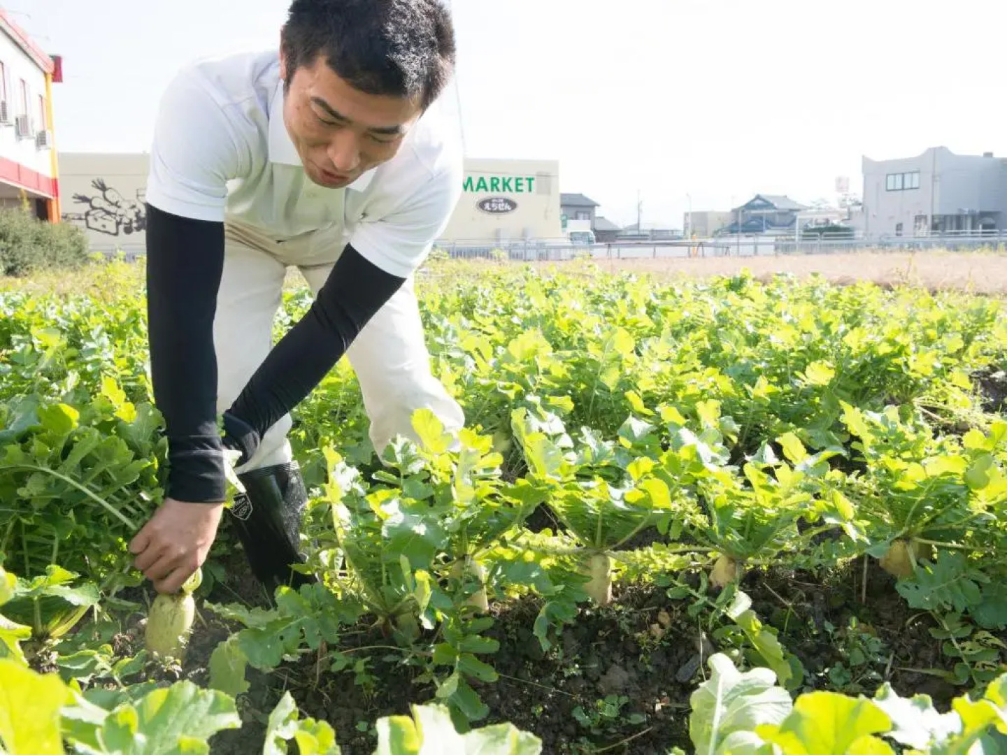 Sabae Dai-ichi Hotel
