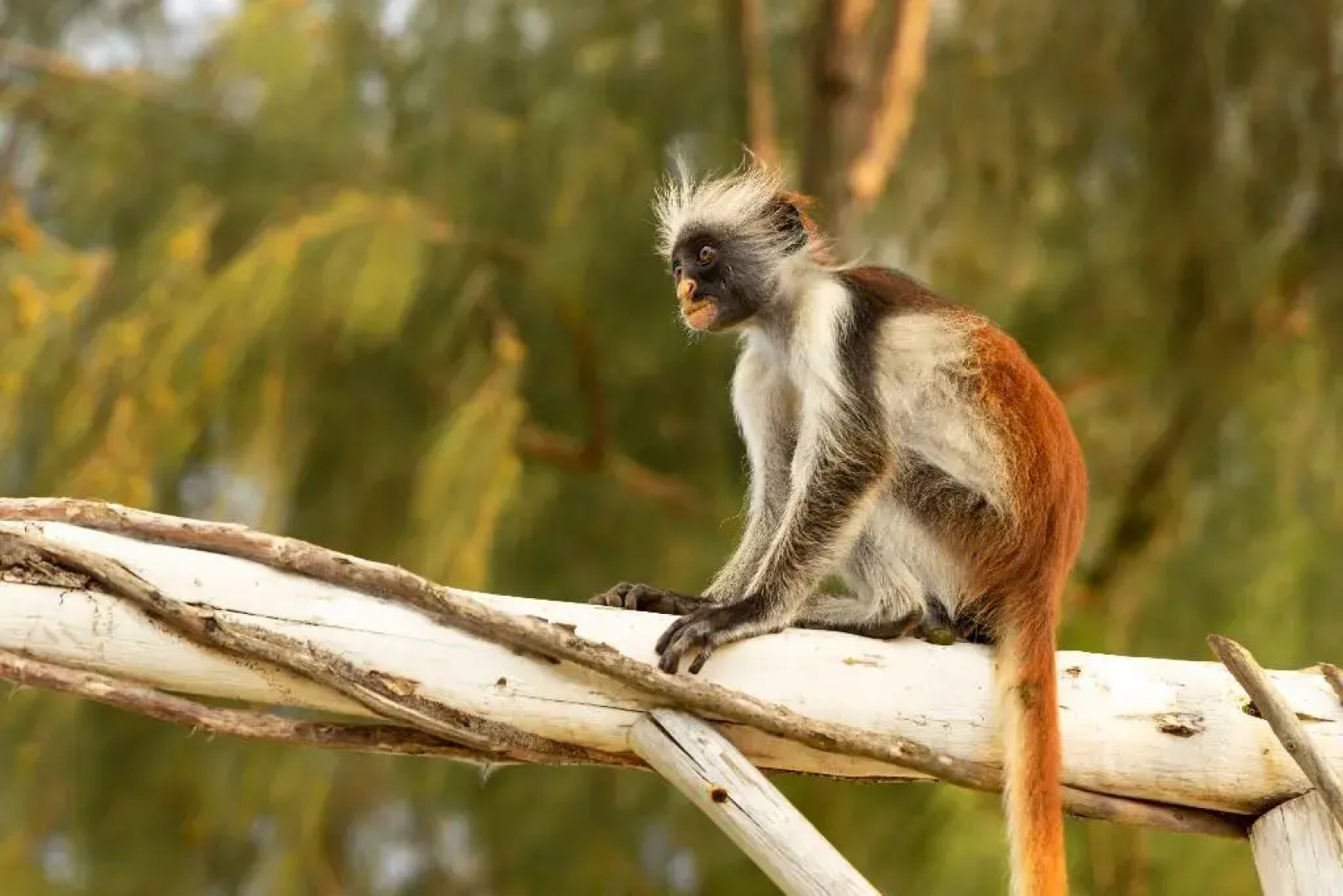 Paradise Beach Resort