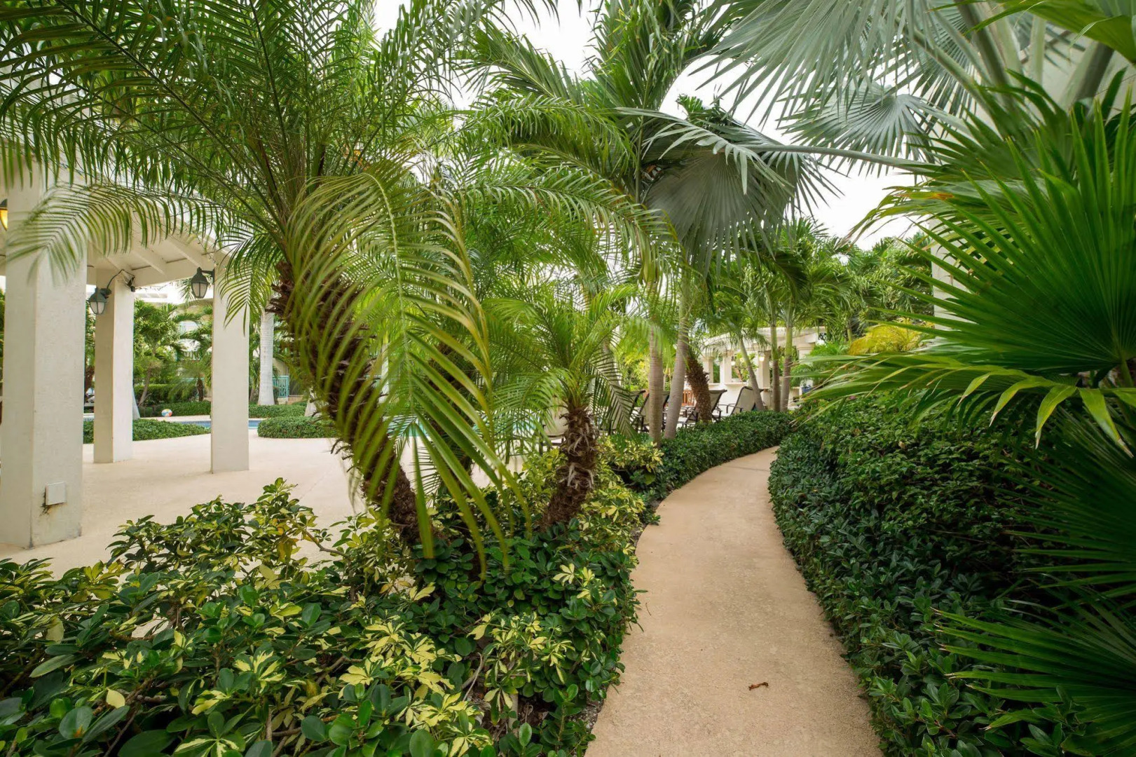 Caribbean Diamond Residence