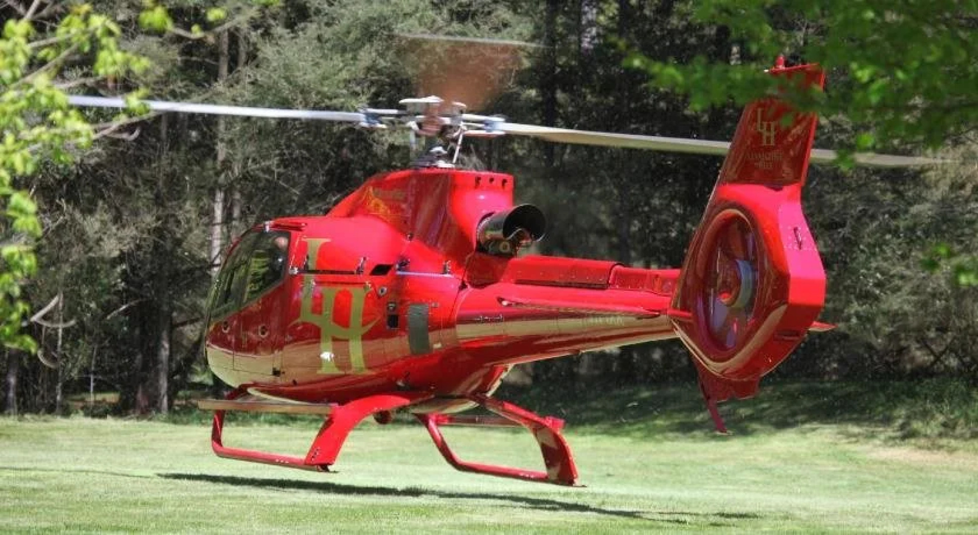 Woodlands Rainforest Retreat