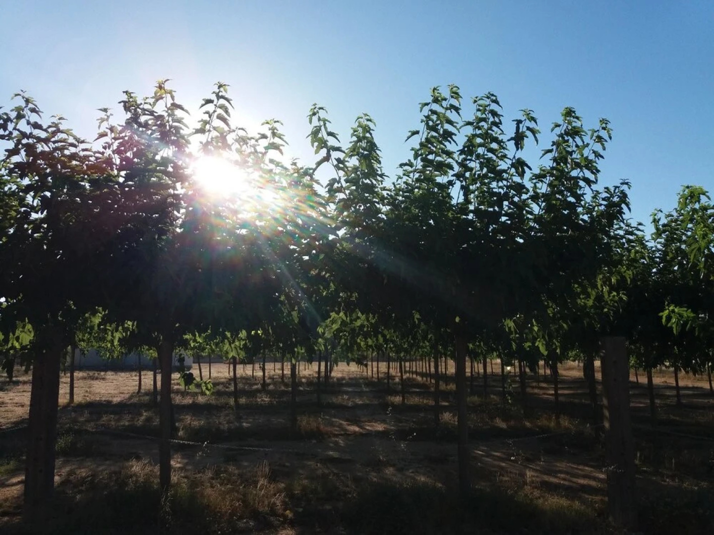 House With 2 Bedrooms in Las Virtudes, Villena, With Wonderful Mountai