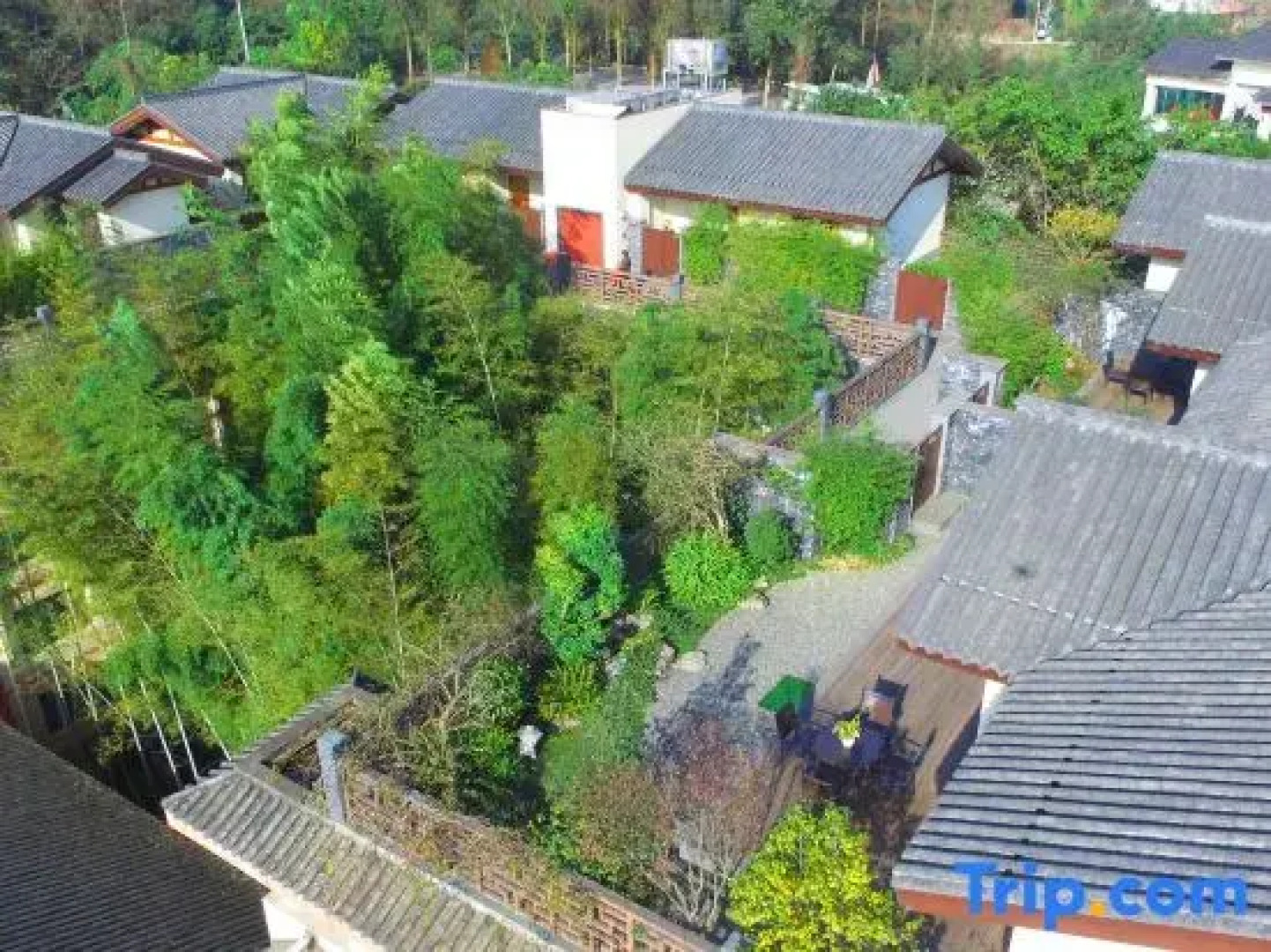 Mount Emei View Hot Spring Soup House