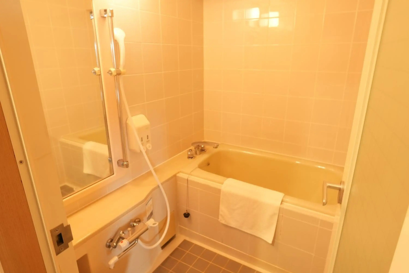 Hotel Alpha Inn Akita