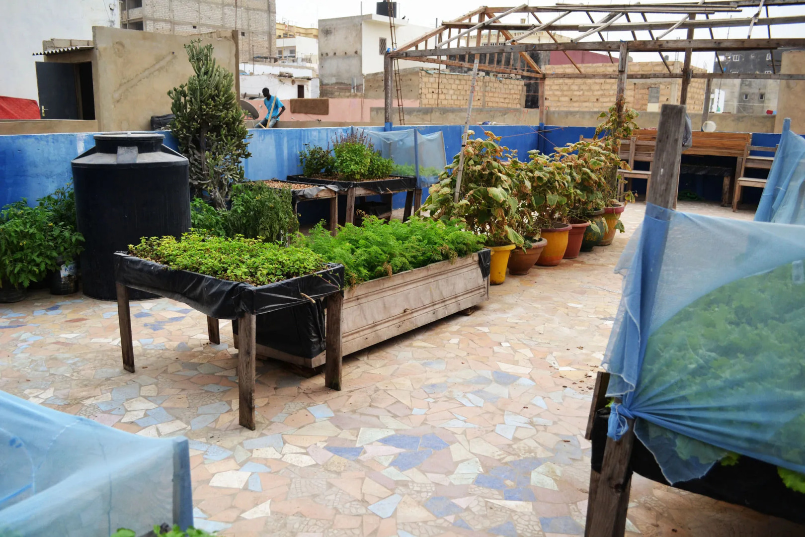 ViaVia Senegal Dakar - Hostel/Backpacker