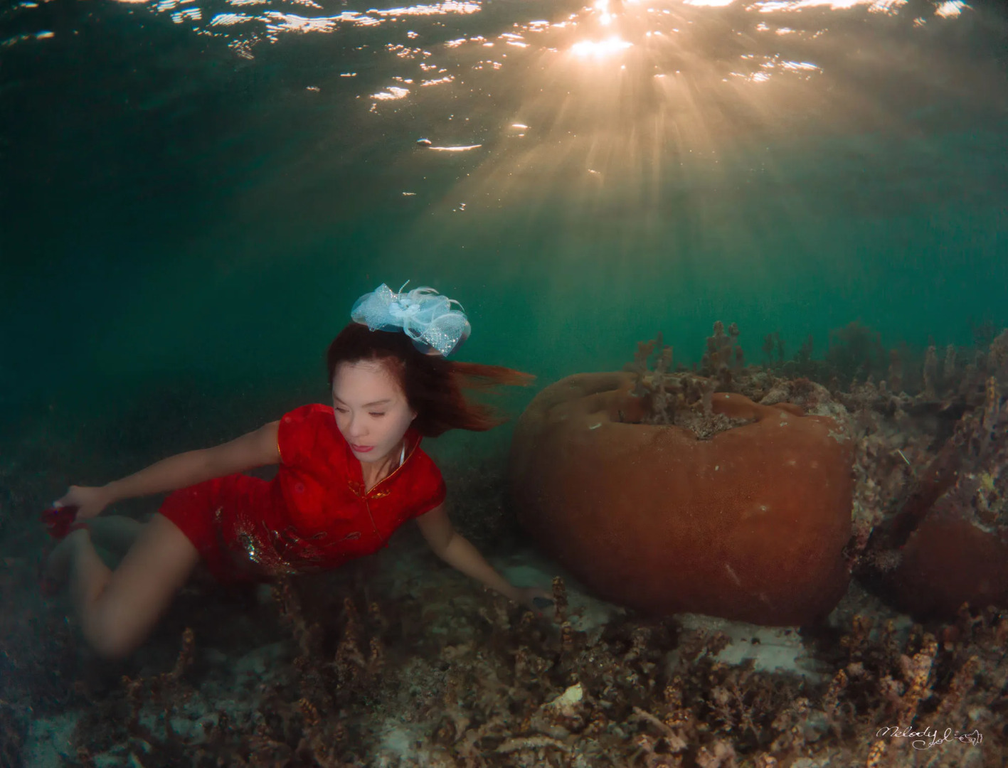 Turtle Bay Dive Resort