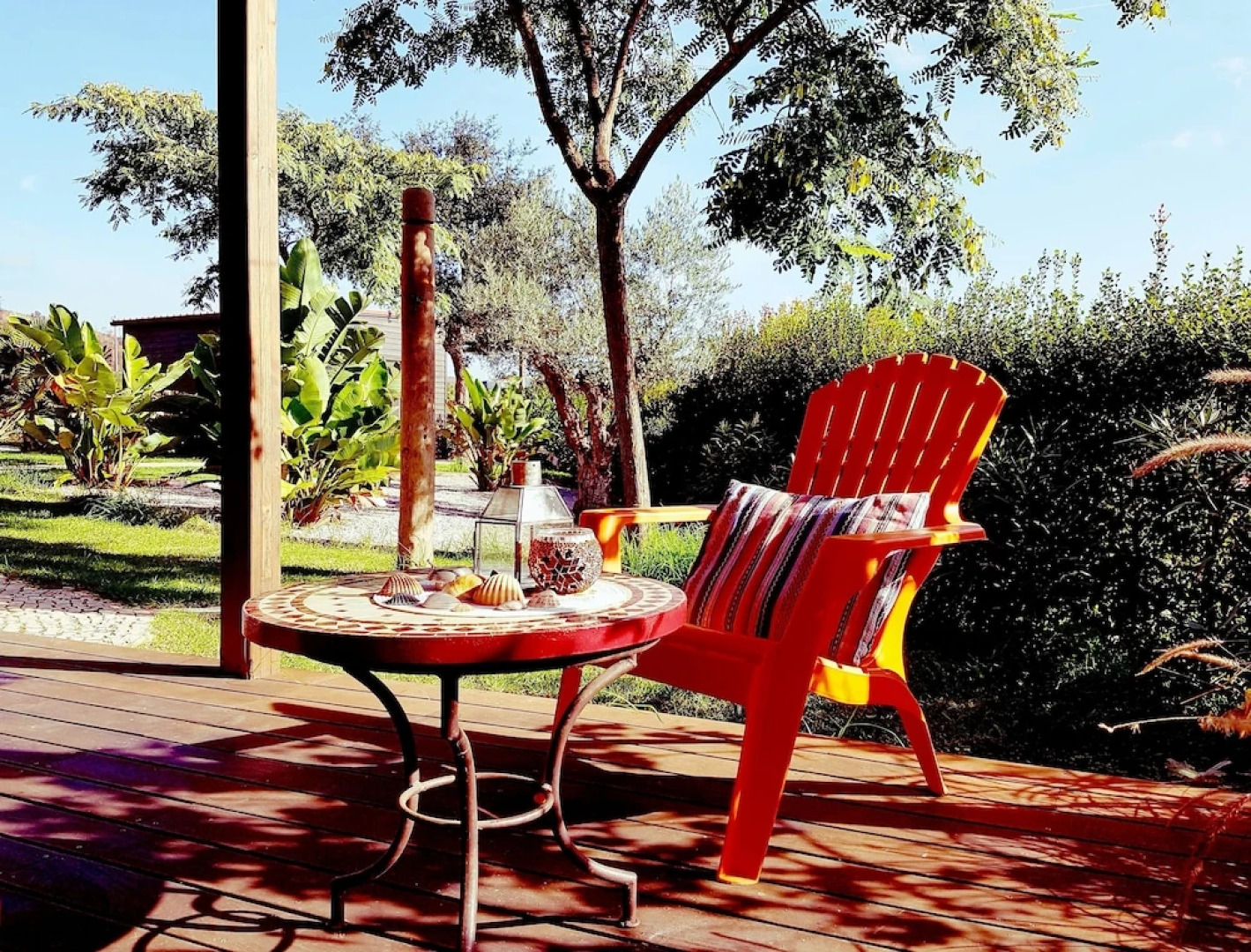 Gato Preto de Silves