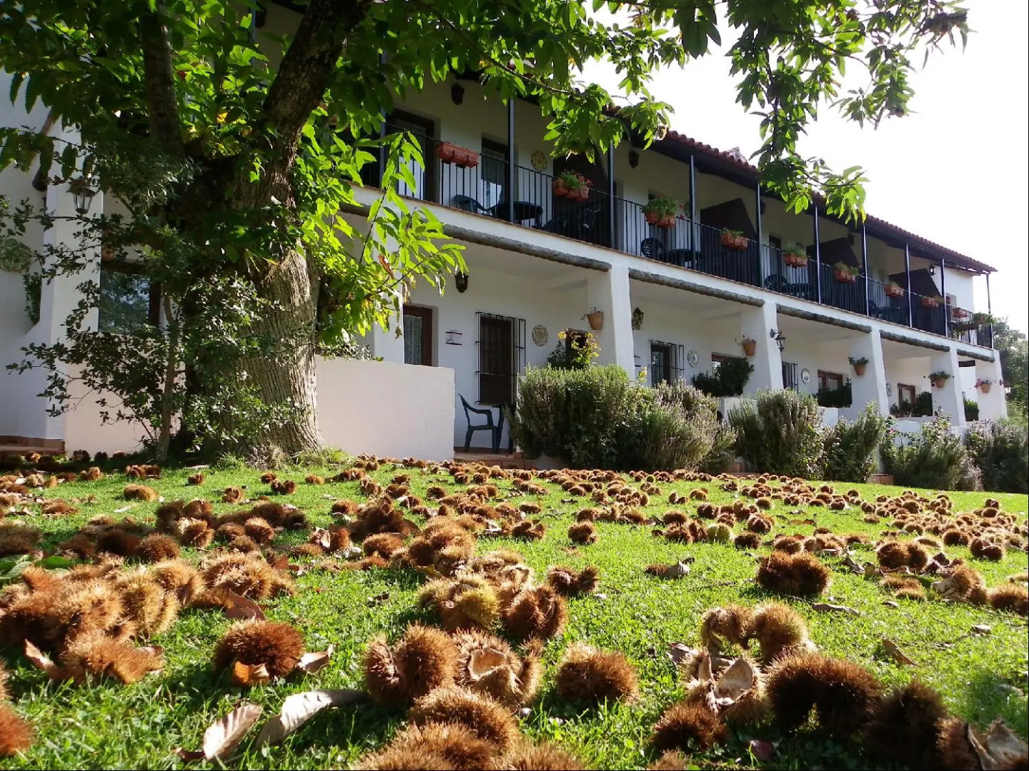 Hotel Apartamento Rural Finca La Media Legua