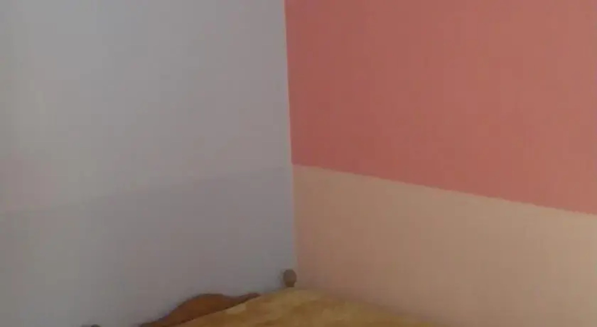 Parku i Palmave Hotel