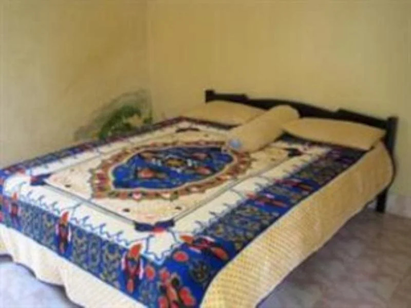 Maria Guest House And Trekking Organizer