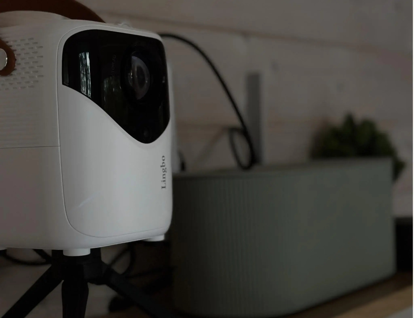 Глэмпинг YANTAR (Янтарь)