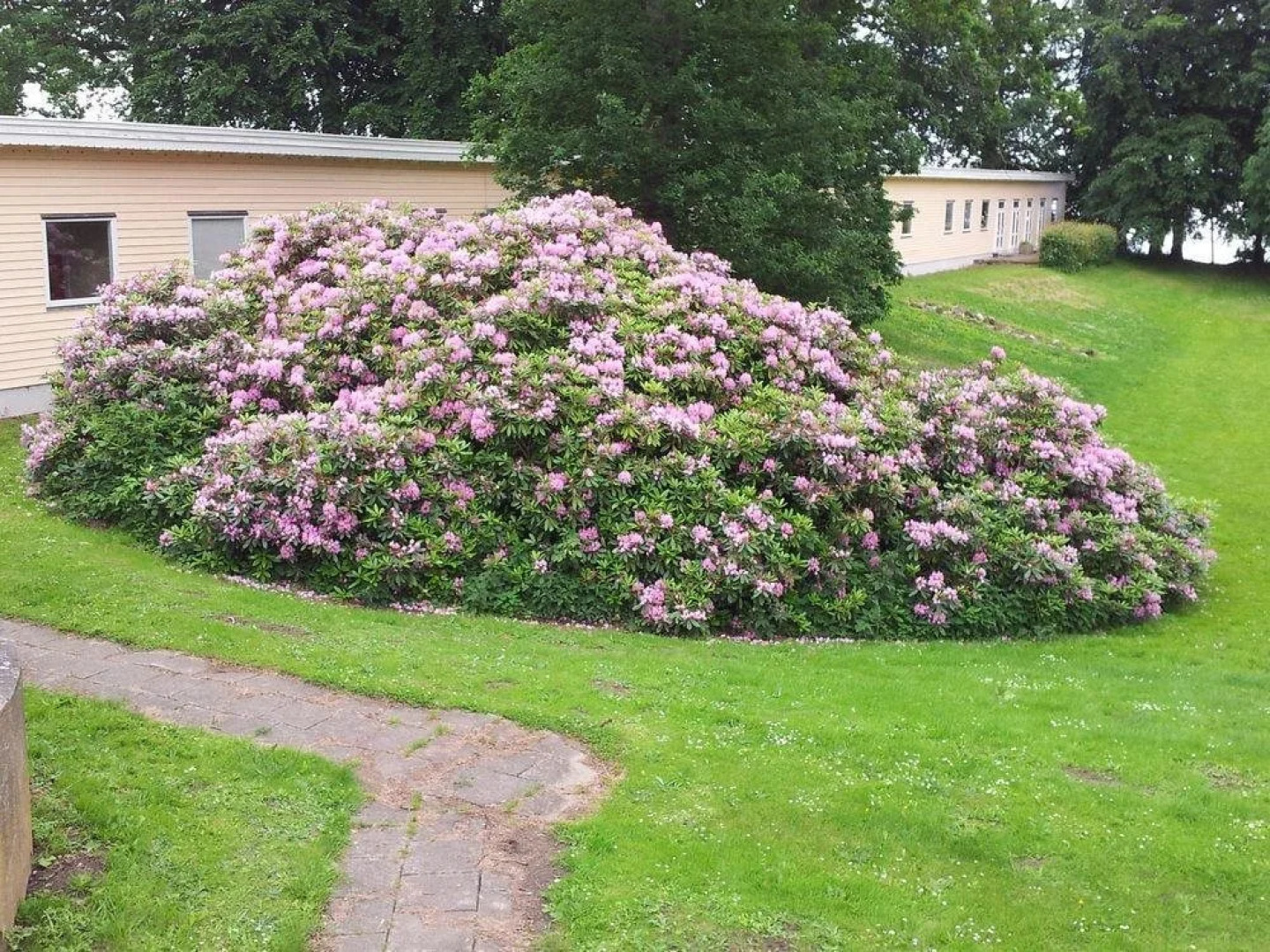 Nakkebølle Skolecenter