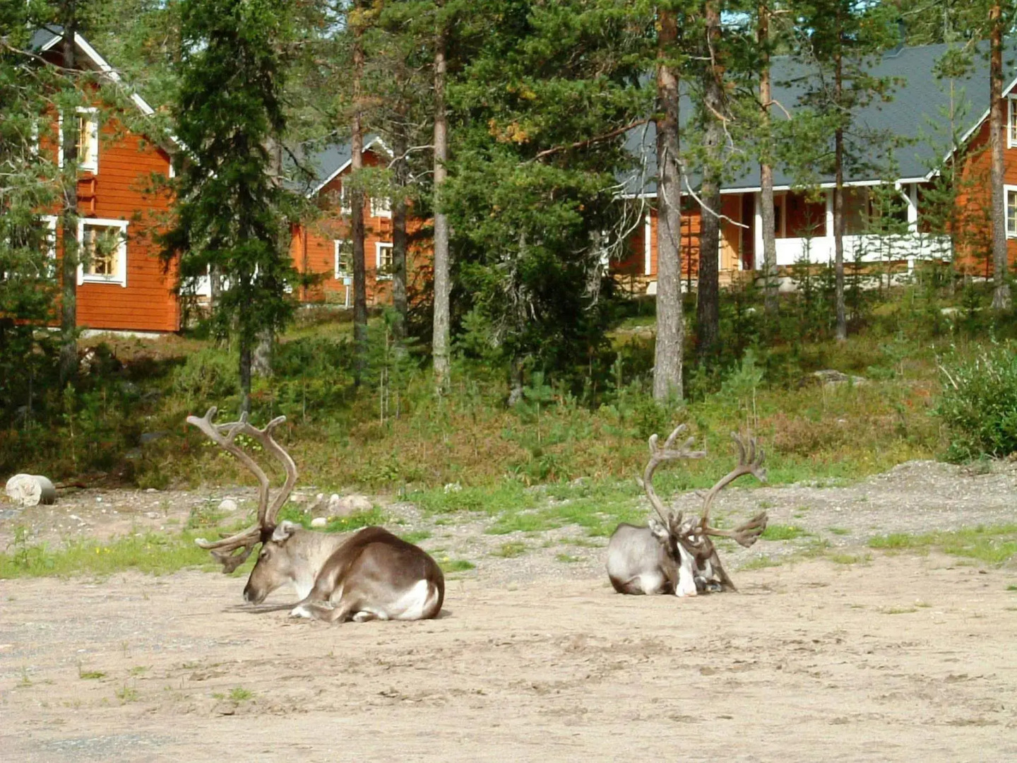 Arctic Light Apartments