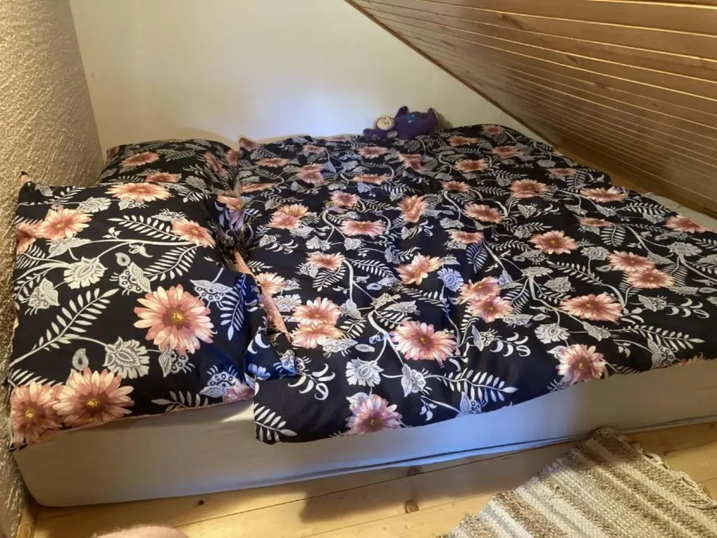 Vineyard cottage Slanc