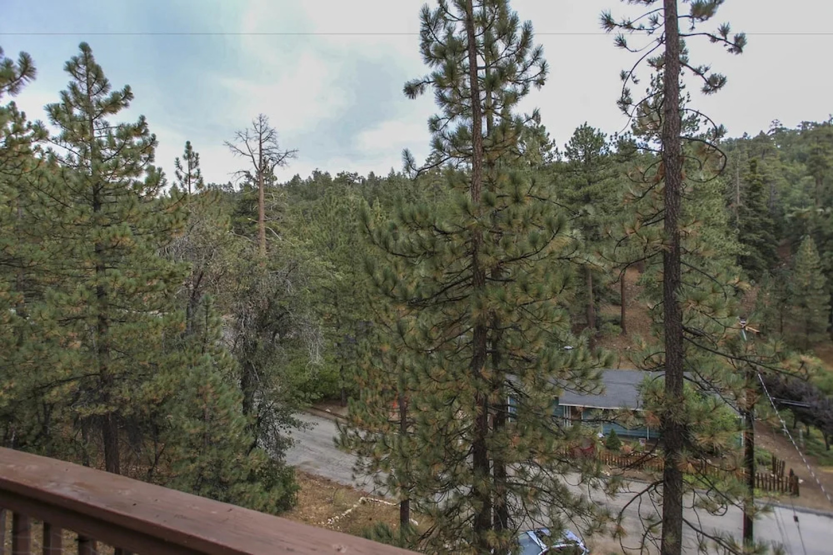 Treetop Retreat