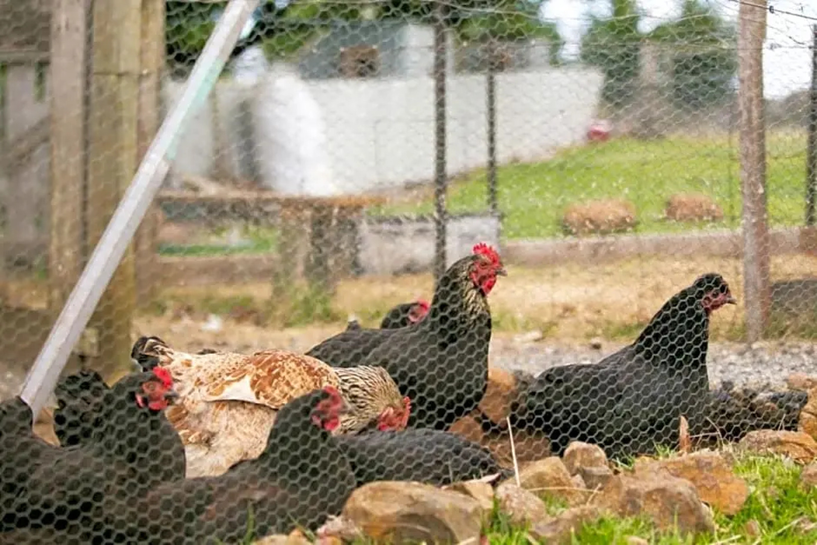 3 Hills at The Good Place